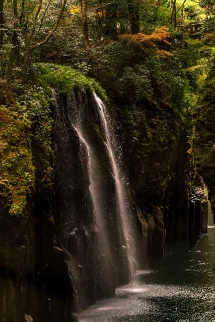 Single seater action